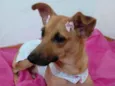 Frida