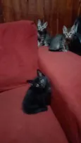 Não possui nome