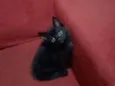 Não possui nome