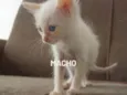 Ainda sem nomes