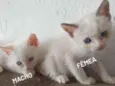 Ainda sem nomes