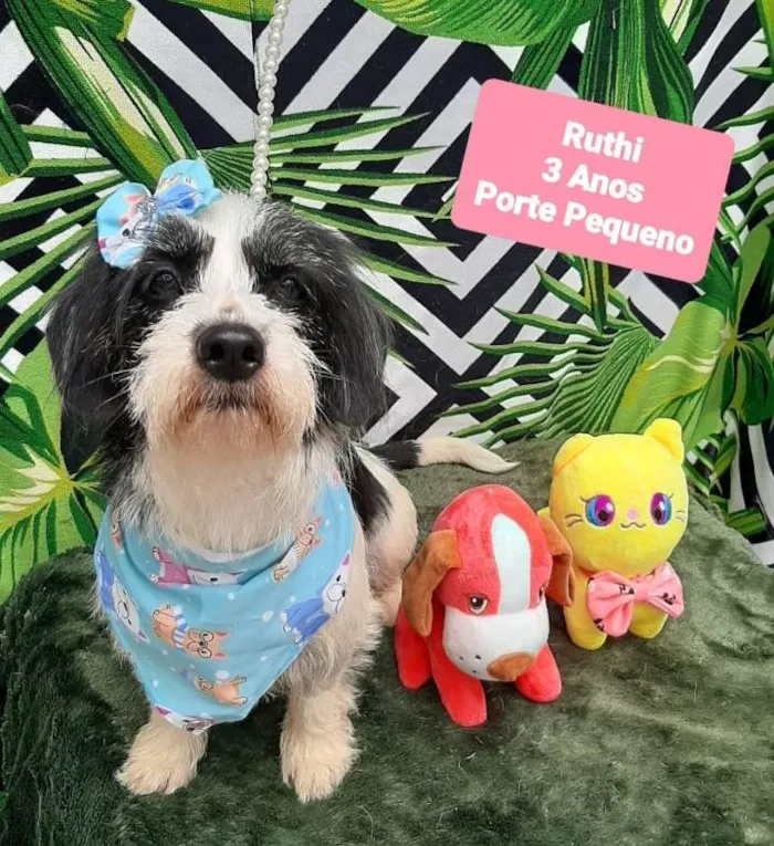 Cachorro raça Srd idade 3 anos nome Ruthi