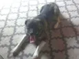 Thoby