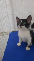 Maya e Luna