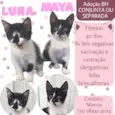 Maya e Luna