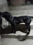 Lua
