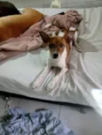 Kira