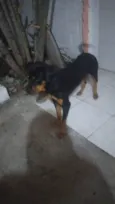 Sansao