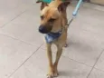 Bruce