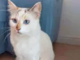 Jolie