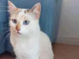 Jolie