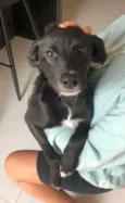 Lua