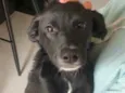 Lua