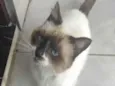 Jerônimo