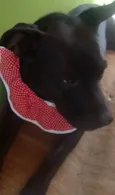 ZIRA