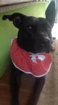 ZIRA