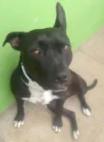 ZIRA