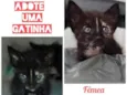 Não tem