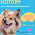 Heitor