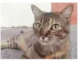 JULLY