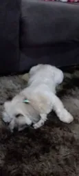Mel