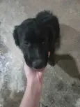Mufaza