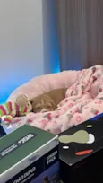 Lua
