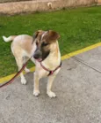 Fiona
