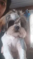 NEMO
