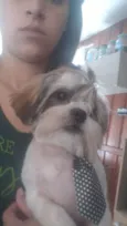 NEMO