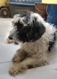 Snoop