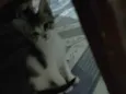 Ragnar