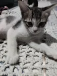 Ragnar