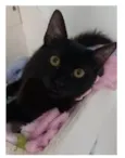 DALILA