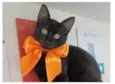 DALILA