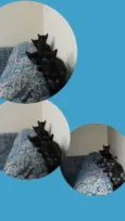 Não tem ainda