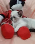 PRINCESA  