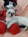 PRINCESA