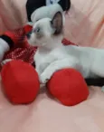 PRINCESA  