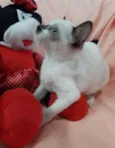 PRINCESA