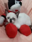 PRINCESA