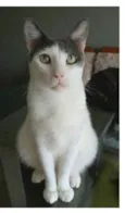 JOHN