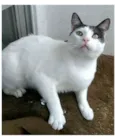 JOHN
