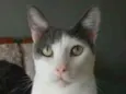 JOHN