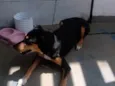 Zeus
