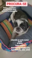 Boris