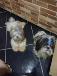 Megui e Mizael