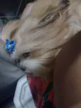 Megui e Mizael