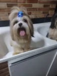 Megui e Mizael