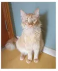 BEN